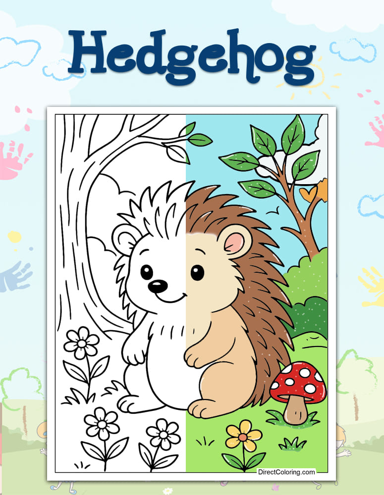 Hedgehog